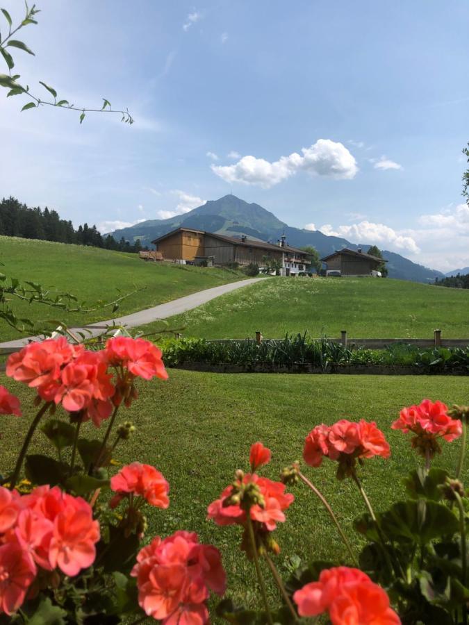 Appartement Kaiserluft Sankt Johann in Tirol Exterior photo